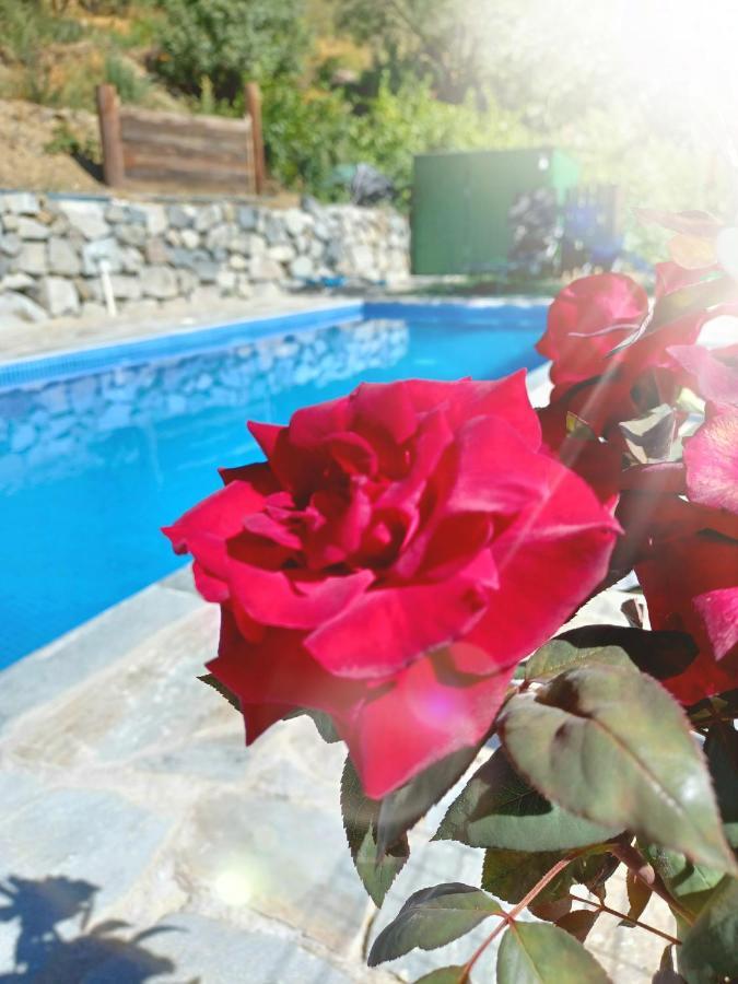 Agrompelo House Villa Agros Dış mekan fotoğraf