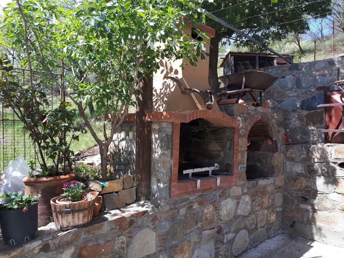 Agrompelo House Villa Agros Dış mekan fotoğraf