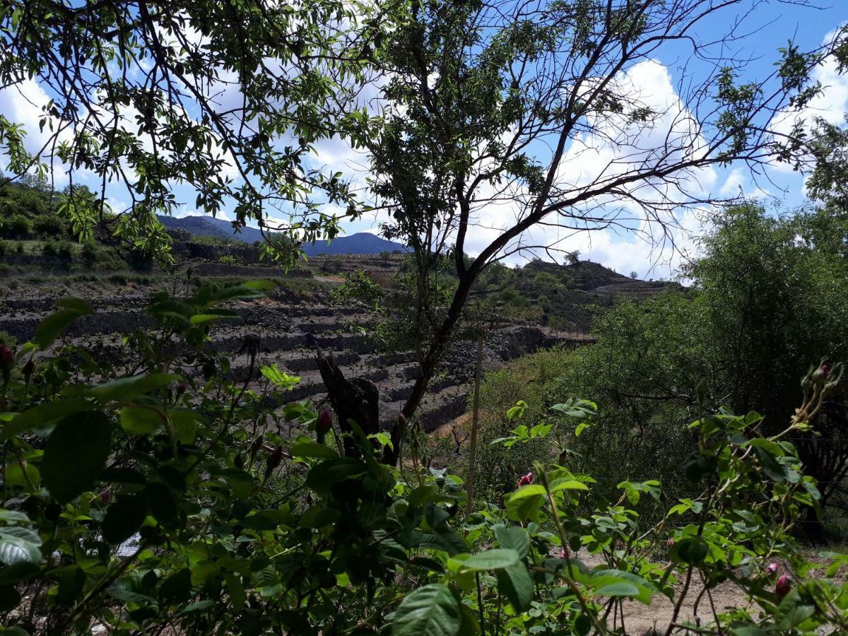 Agrompelo House Villa Agros Dış mekan fotoğraf