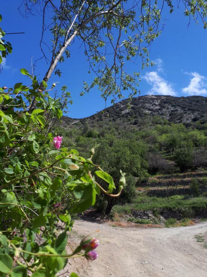 Agrompelo House Villa Agros Dış mekan fotoğraf