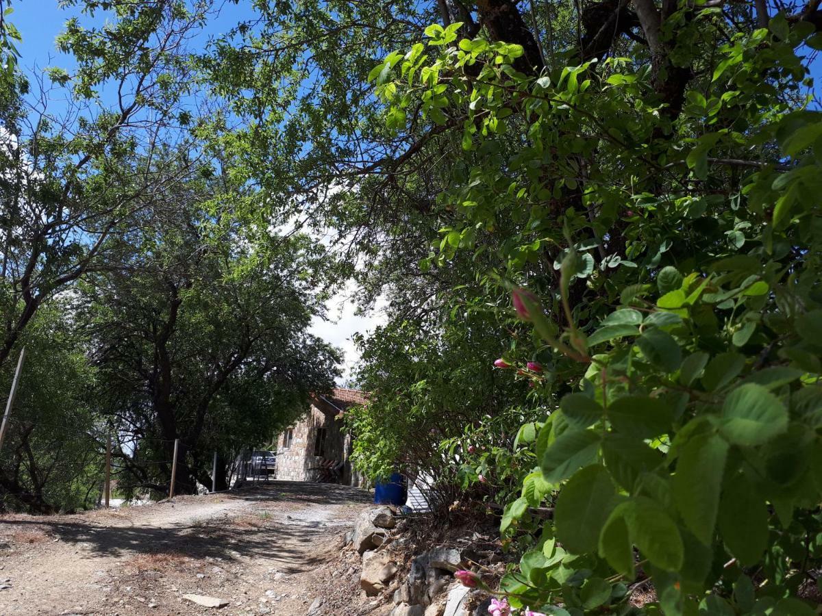 Agrompelo House Villa Agros Dış mekan fotoğraf